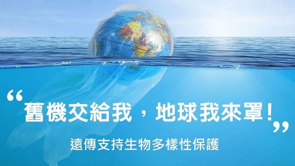 遠傳響應世界海洋日！門市回收舊手機換新機、遠傳捐百元保育鯨豚